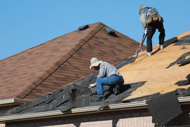 Best Roof Insulation Installation  in West Newton, PA