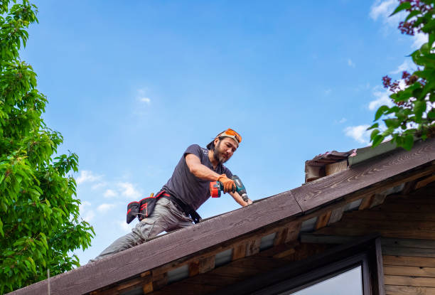 Emergency Roof Repair in West Newton, PA