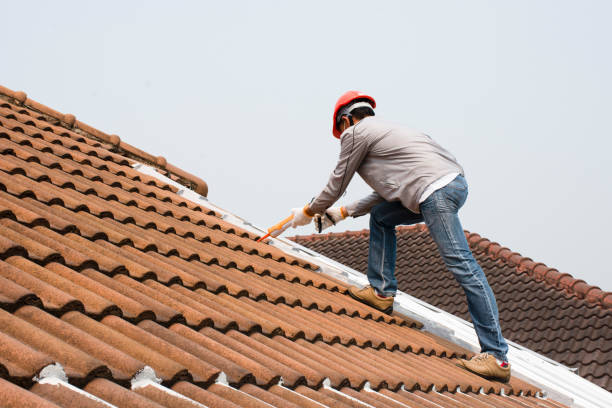 Best Metal Roofing Installation  in West Newton, PA
